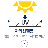 수강신청